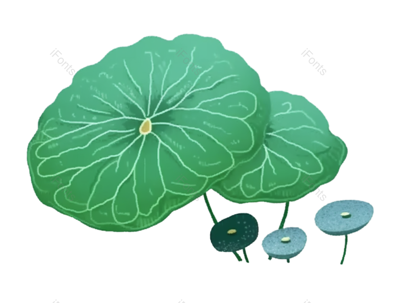 叶子图片,夏至元素,清新PNG,夏天免抠素材